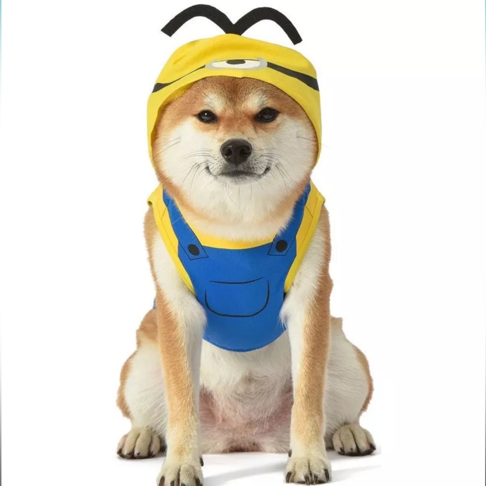 NEW Minions Halloween Pet Costume